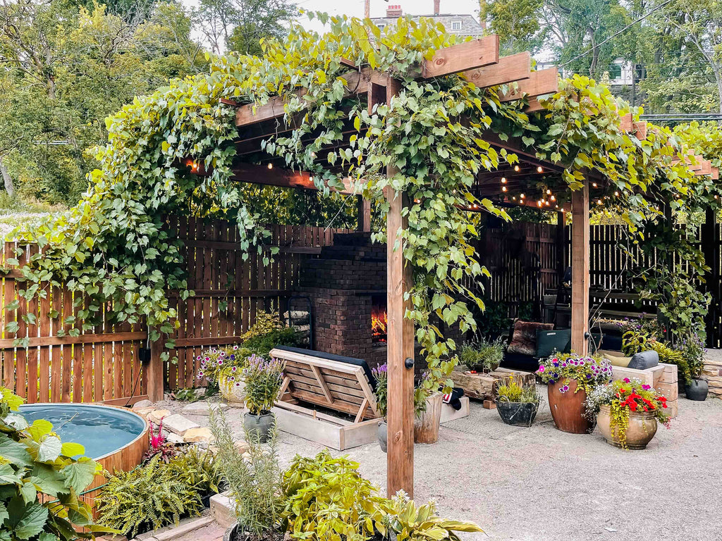 vine covered pergola cedar outdoor patio grey gravel modern rustic reclaimed wood modern furniture stock tank pool