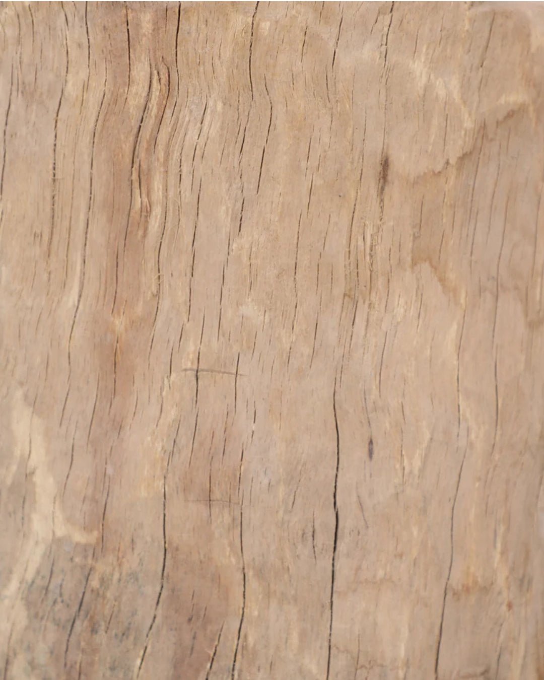 Alda Bowl - Decorative Bowls - Hello Norden