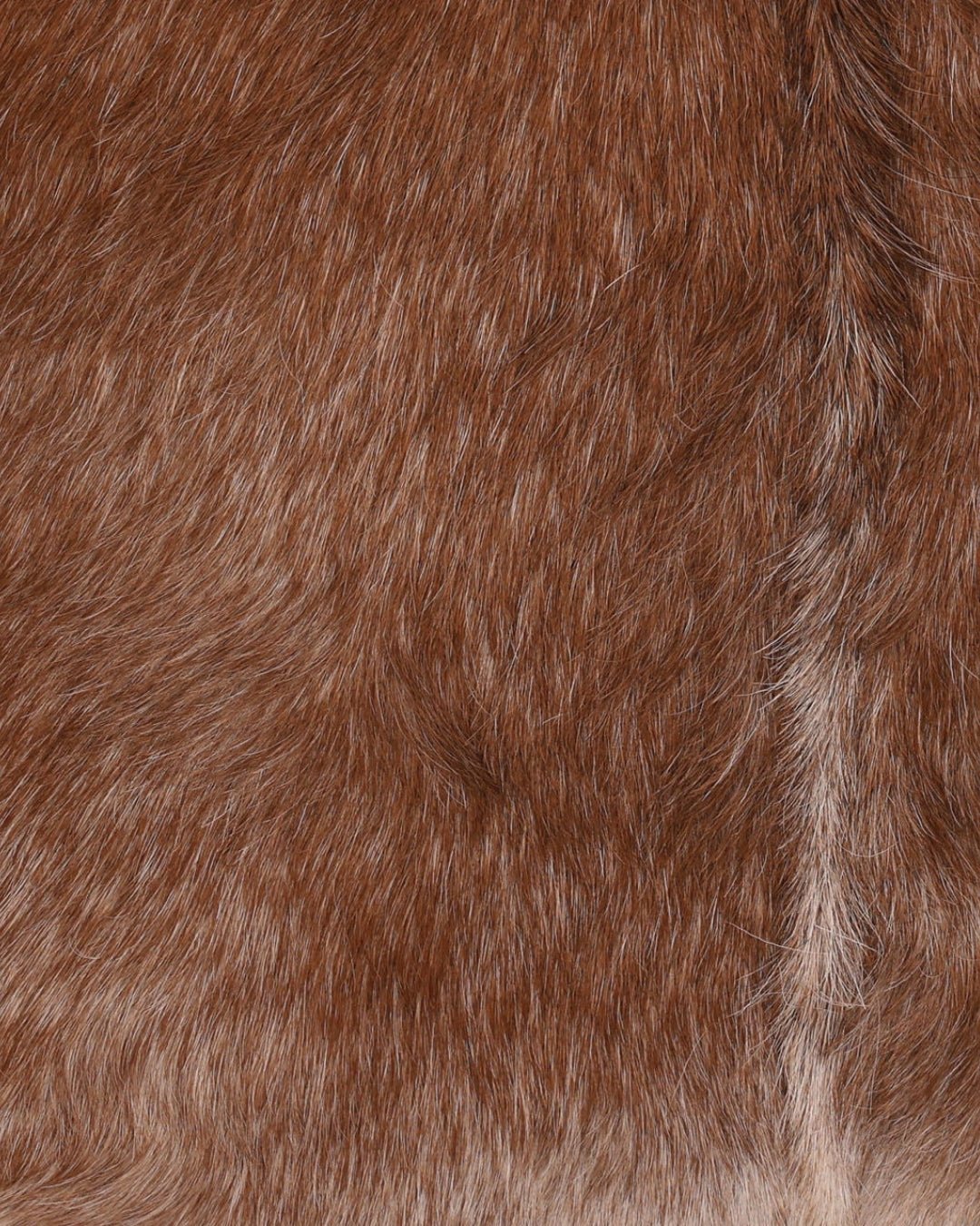 Arne Accent Chair - Chairs - Hello Norden