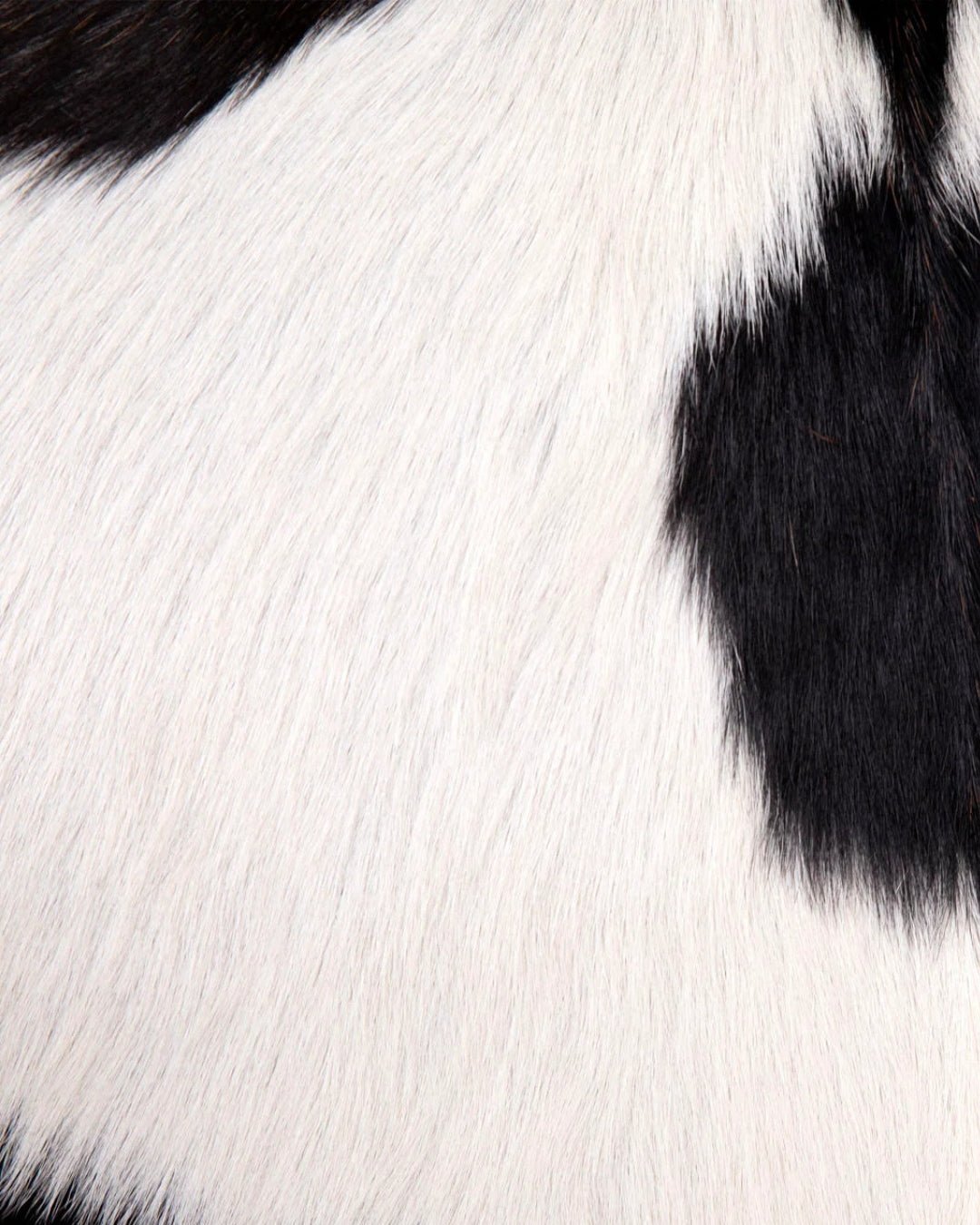 Arne Accent Chair - Chairs - Hello Norden