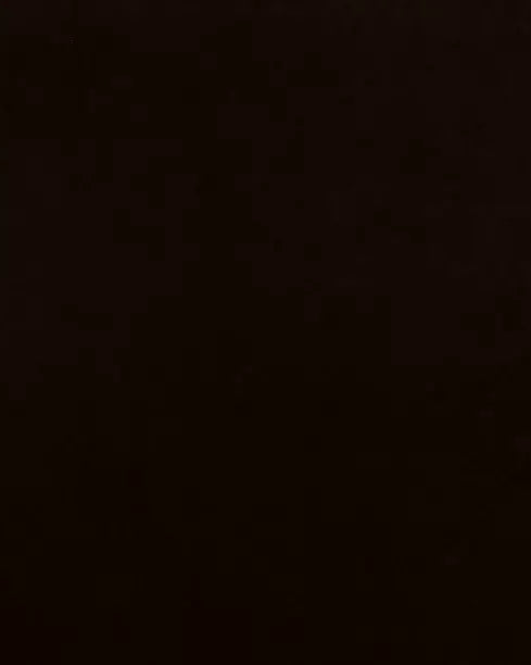 Banks Godiva Eco-Performance Velvet fabric swatch
