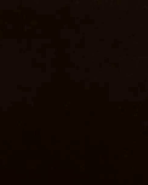 Banks Godiva Eco-Performance Velvet fabric swatch