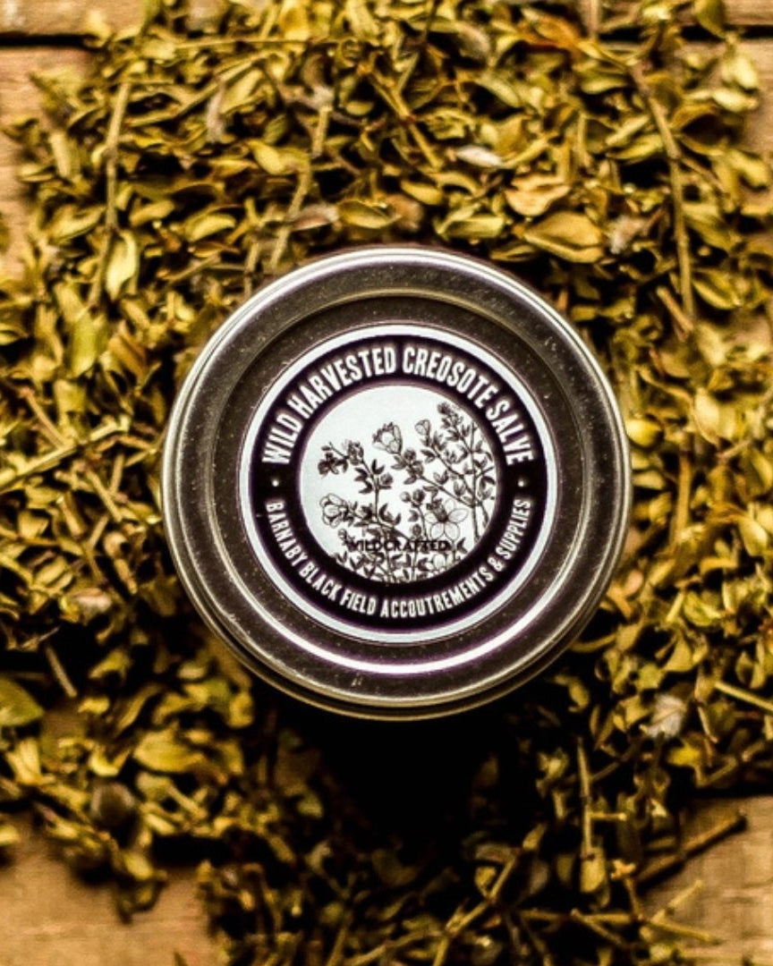 Creosote Salve - Apothecary - Hello Norden