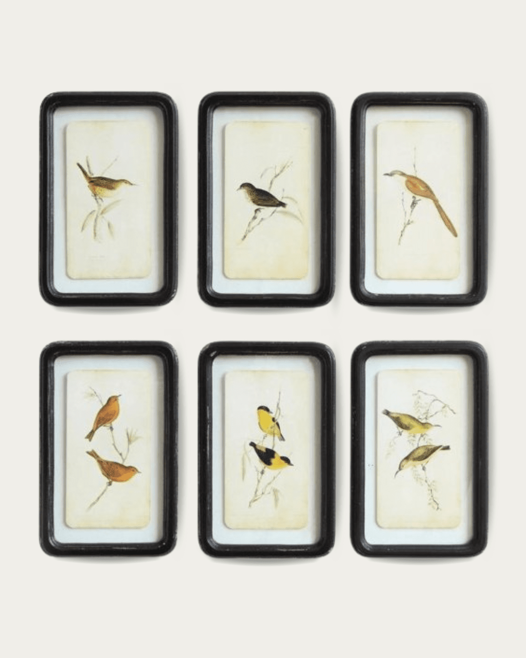 Distressed Framed Bird Print - Pillows & Decor - Hello Norden