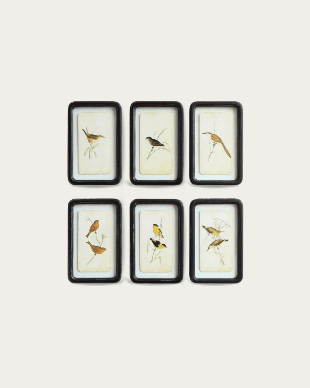 Distressed Framed Bird Print - Pillows & Decor - Hello Norden