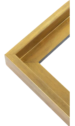 Antique gold canvas float frame