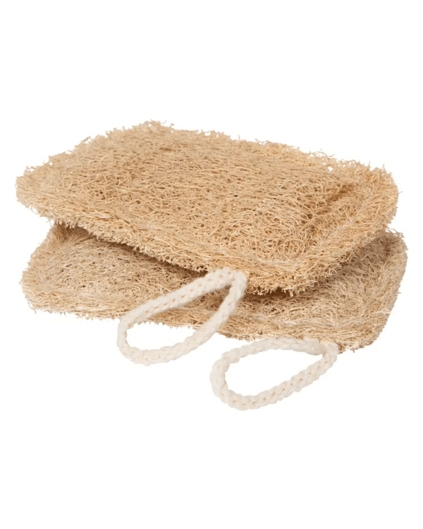 Loofah Dish Sponge - Brushes & Sponges - Hello Norden