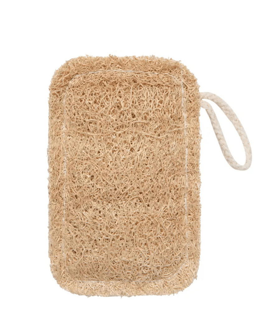 Loofah Dish Sponge - Brushes & Sponges - Hello Norden