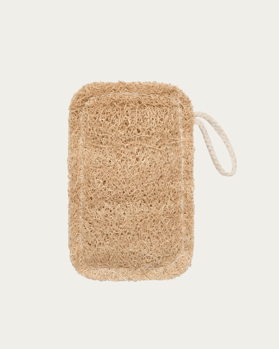 Loofah Dish Sponge - Brushes & Sponges - Hello Norden
