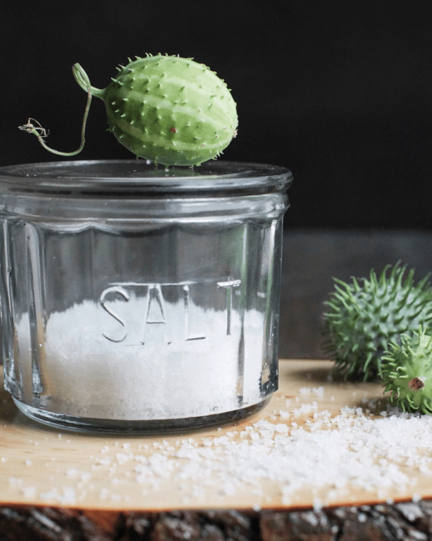 Olavi Glass Salt Cellar - Salt Cellar - Hello Norden