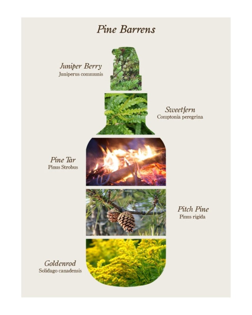 Pine Barrens Body Oil - Apothecary - Hello Norden