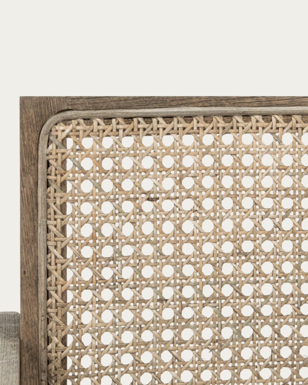 Shelby Dining Chair - Dining Chairs - Hello Norden