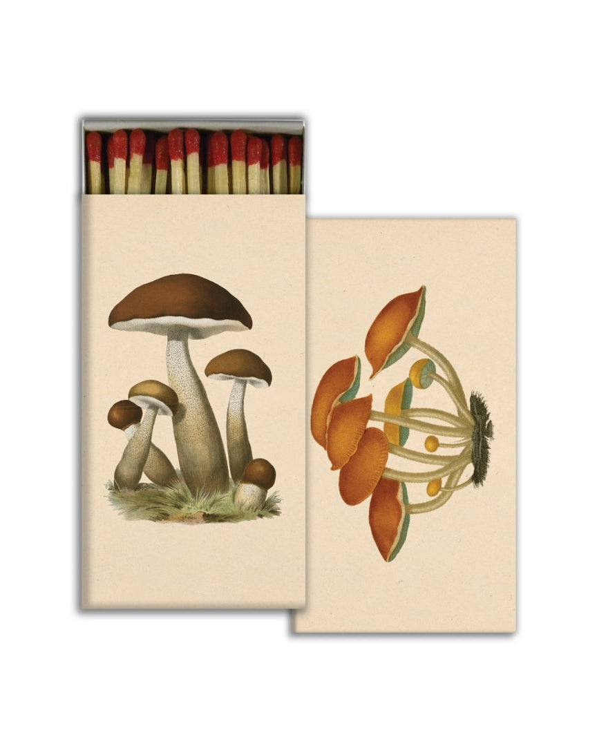 Striker Match Box - Apothecary - Hello Norden