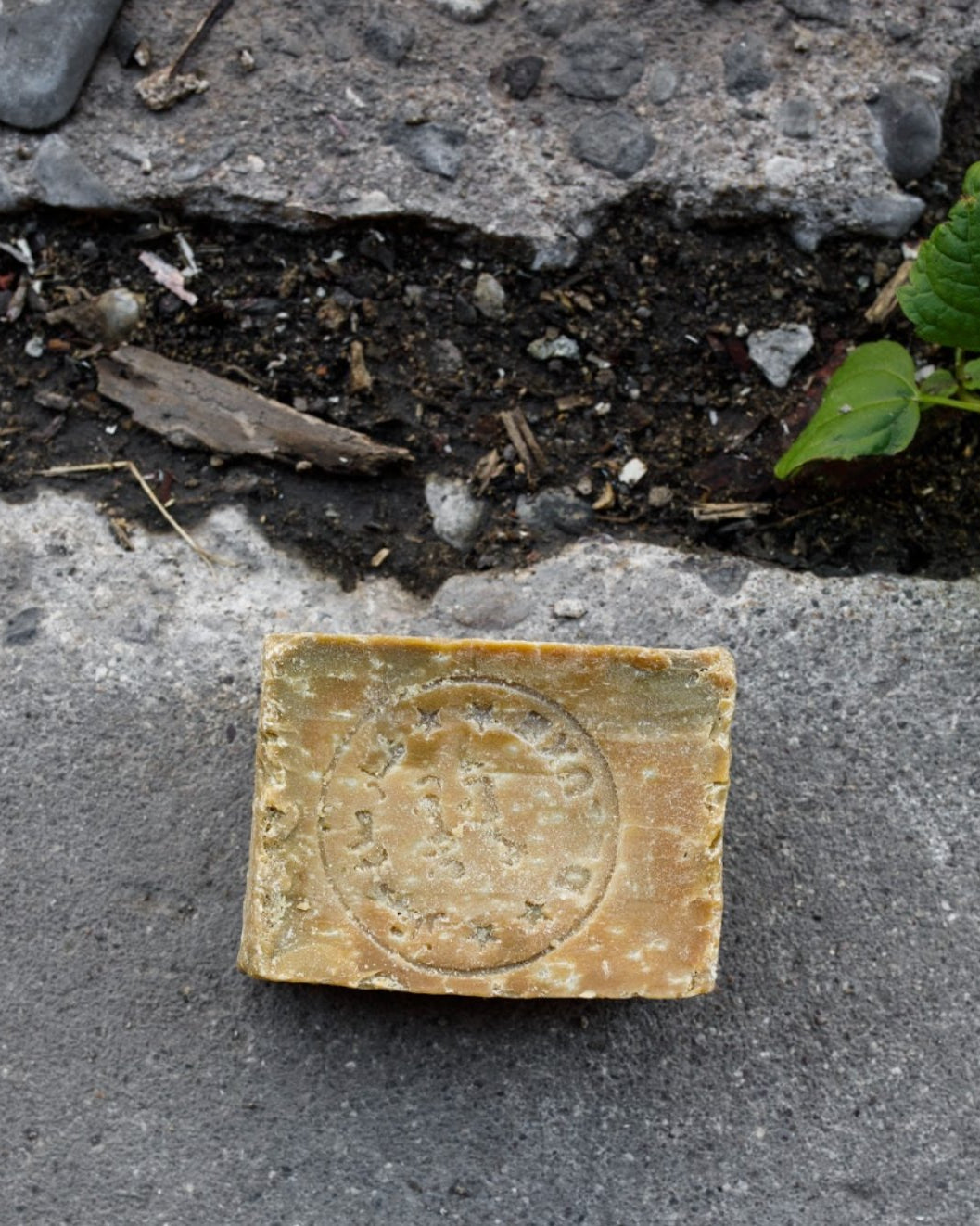 Aleppo Soap - Soaps & Lotions - Hello Norden