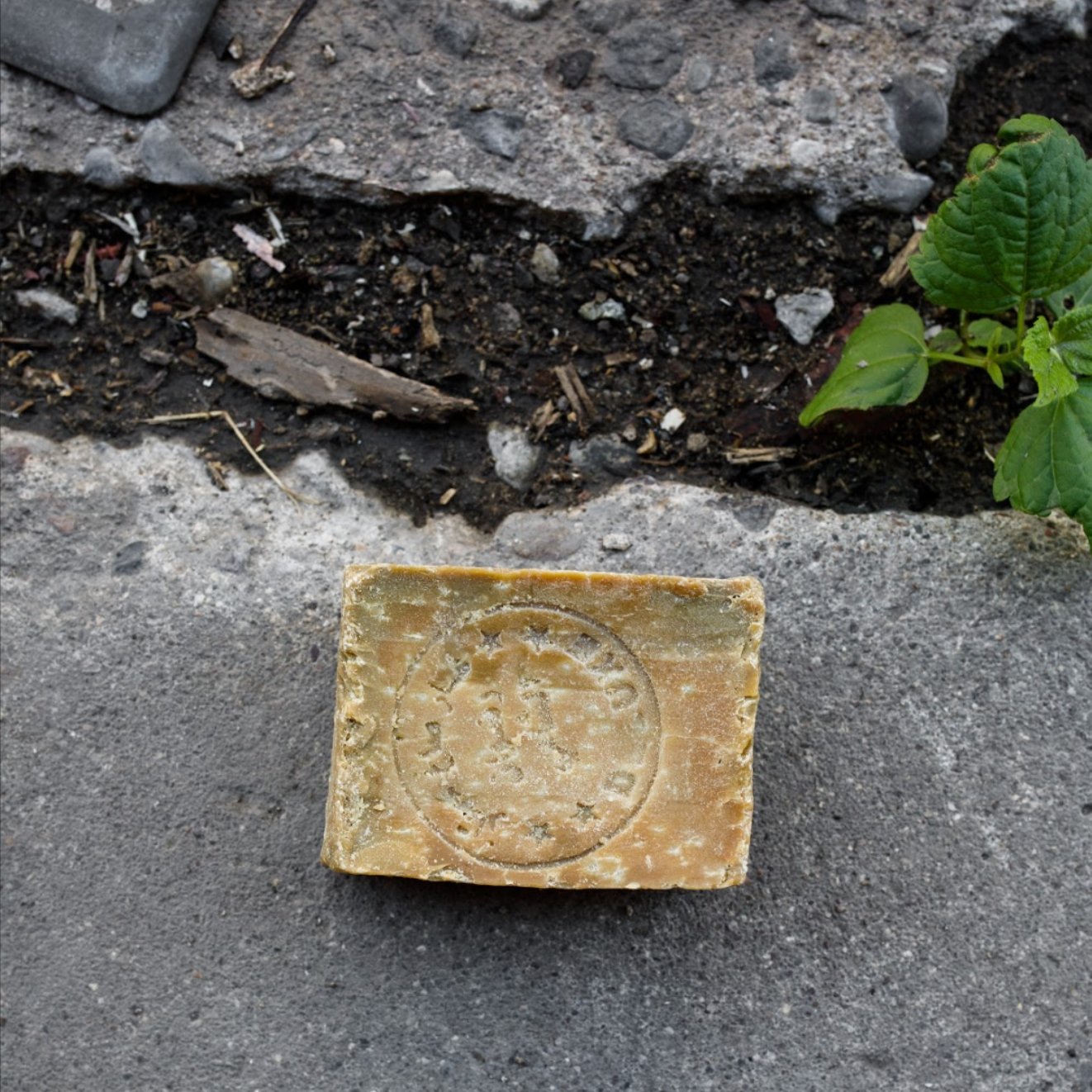 Aleppo Soap - Soaps & Lotions - Hello Norden