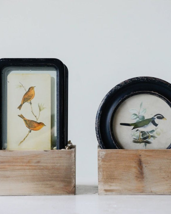 Distressed Framed Bird Print - Pillows & Decor - Hello Norden