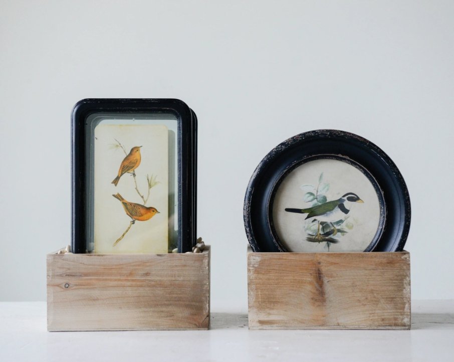 Distressed Framed Bird Print - Pillows & Decor - Hello Norden