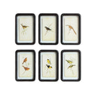Distressed Framed Bird Print - Pillows & Decor - Hello Norden