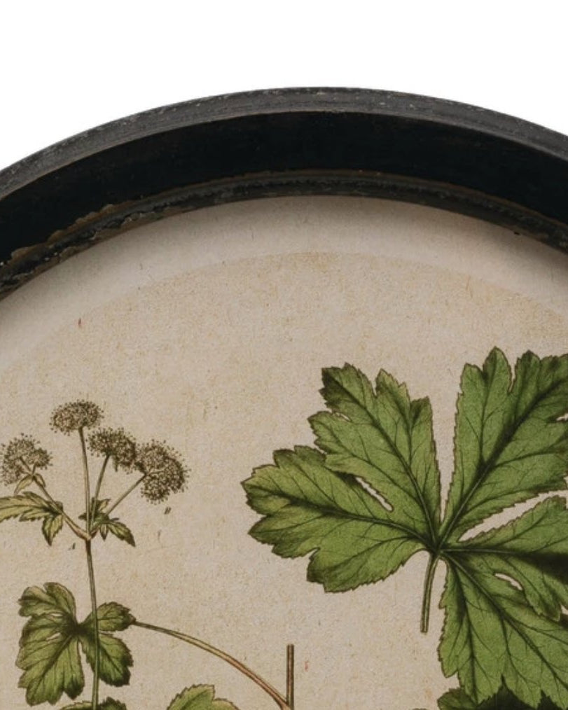 Framed floral wall art with botanical print - Art & Mirrors - Hello Norden