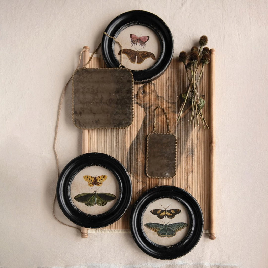 Framed Wall Decor with Butterflies & Moths - Art & Mirrors - Hello Norden