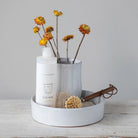 Helva Wooden Dish Brush - Cleaning Brushes - Hello Norden