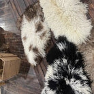 Icelandic Curly Sheepskin Throw Rug - Rugs - Hello Norden