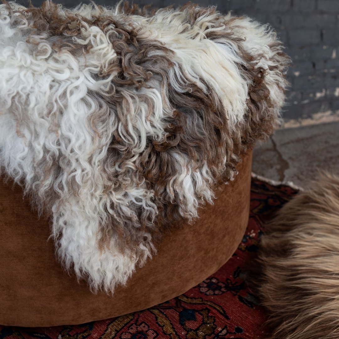 Icelandic Curly Sheepskin Throw Rug - Rugs - Hello Norden