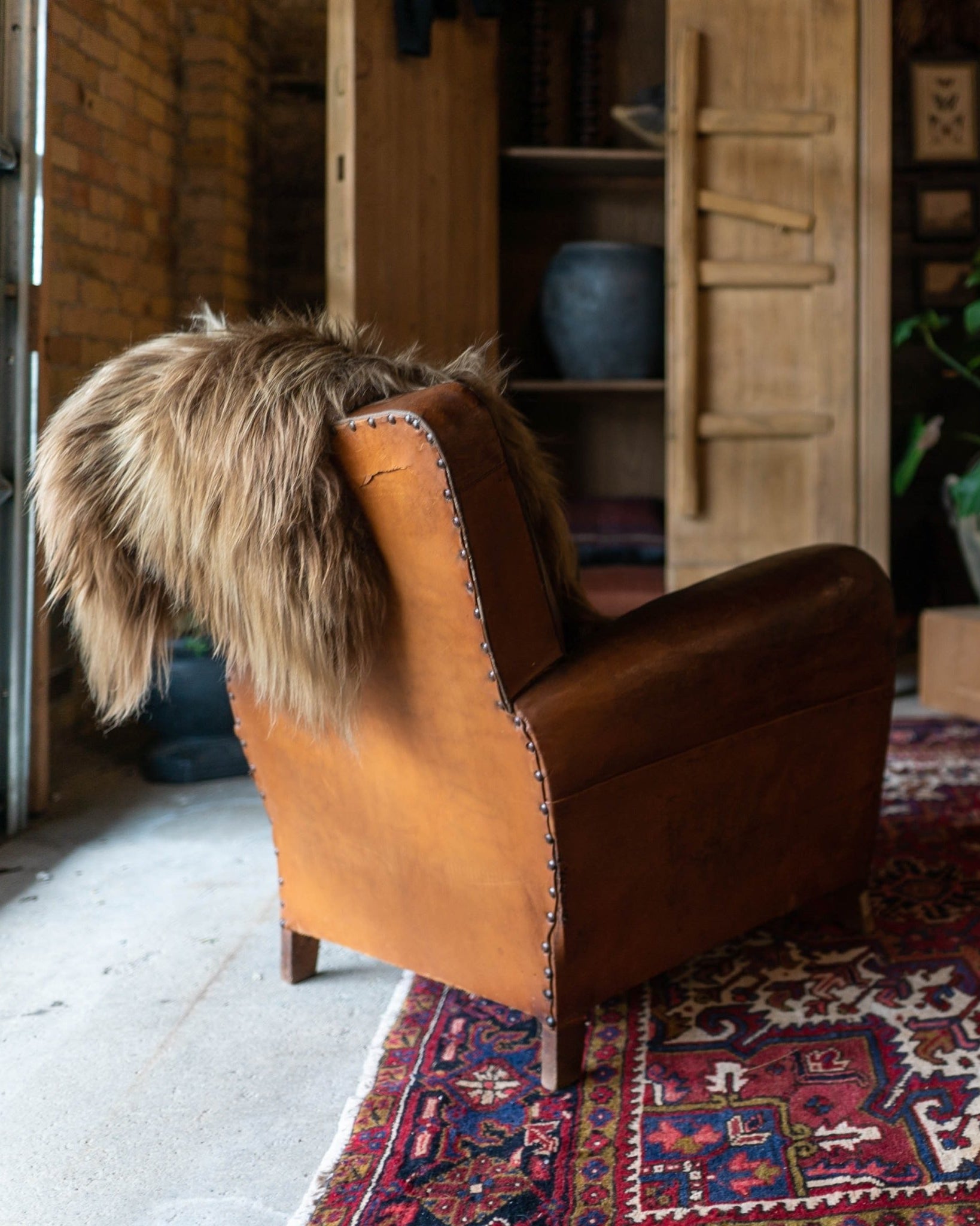 Icelandic Sheepskin Throw Rug - Dyed Brown - Rugs - Hello Norden