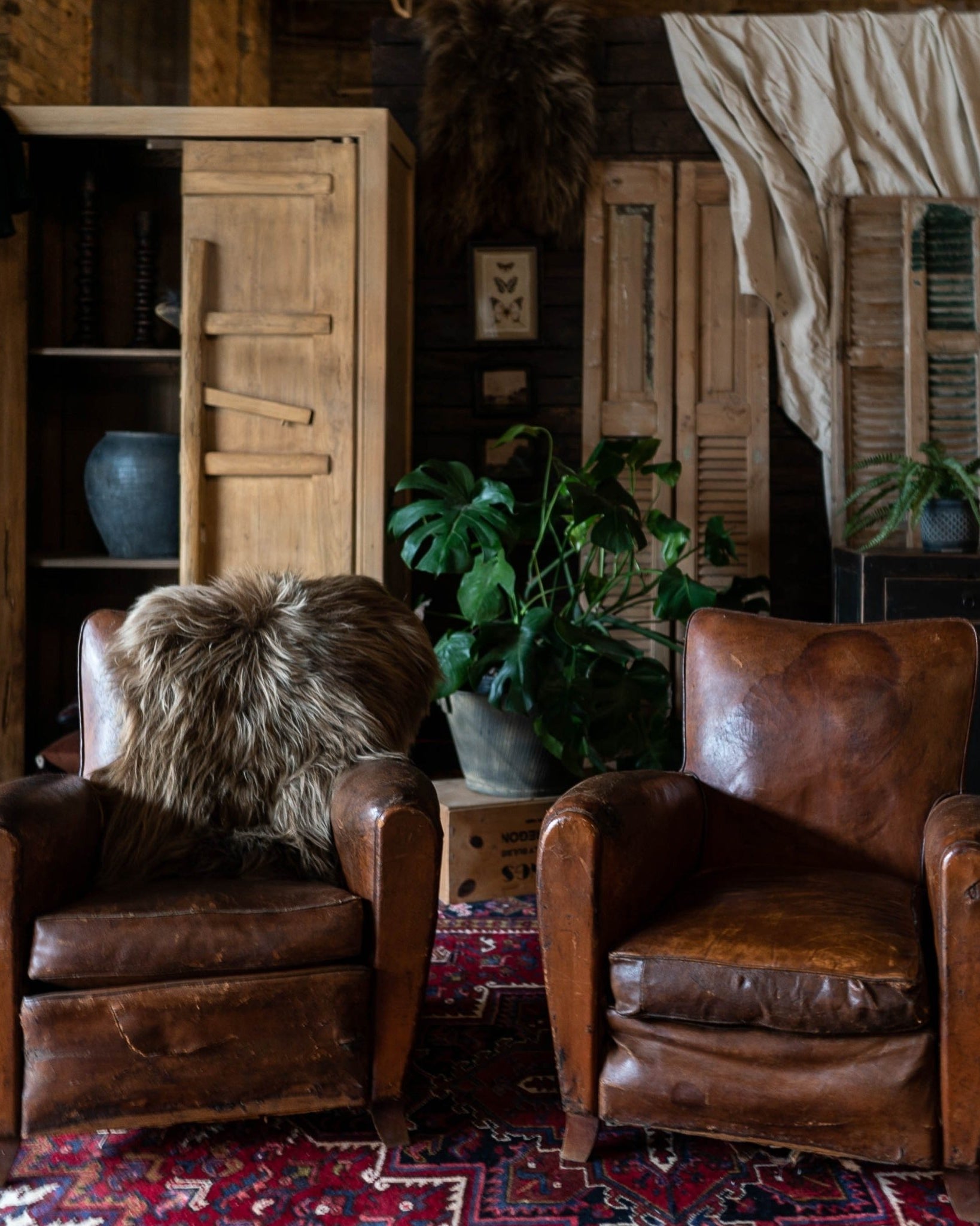 Icelandic Sheepskin Throw Rug - Dyed Brown - Rugs - Hello Norden