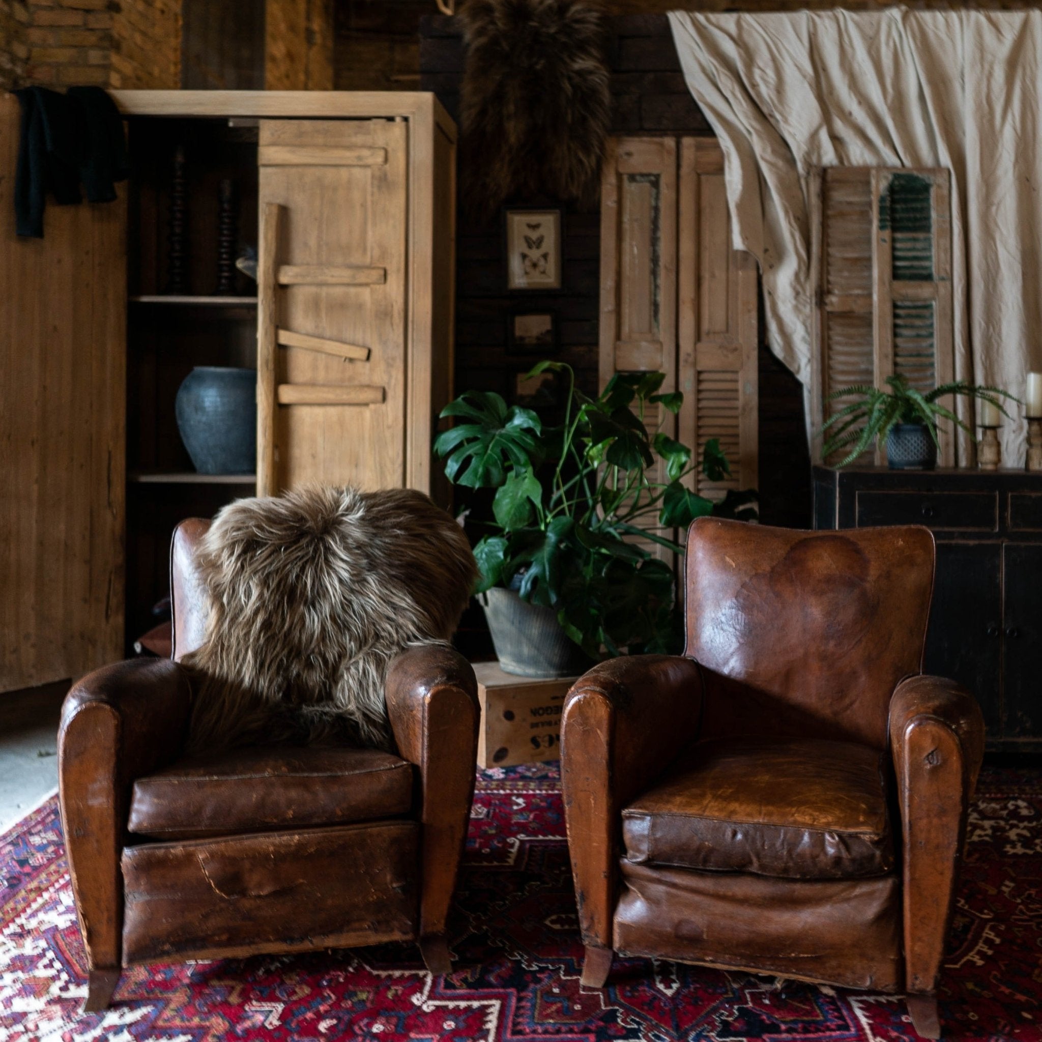 Icelandic Sheepskin Throw Rug - Dyed Brown - Rugs - Hello Norden