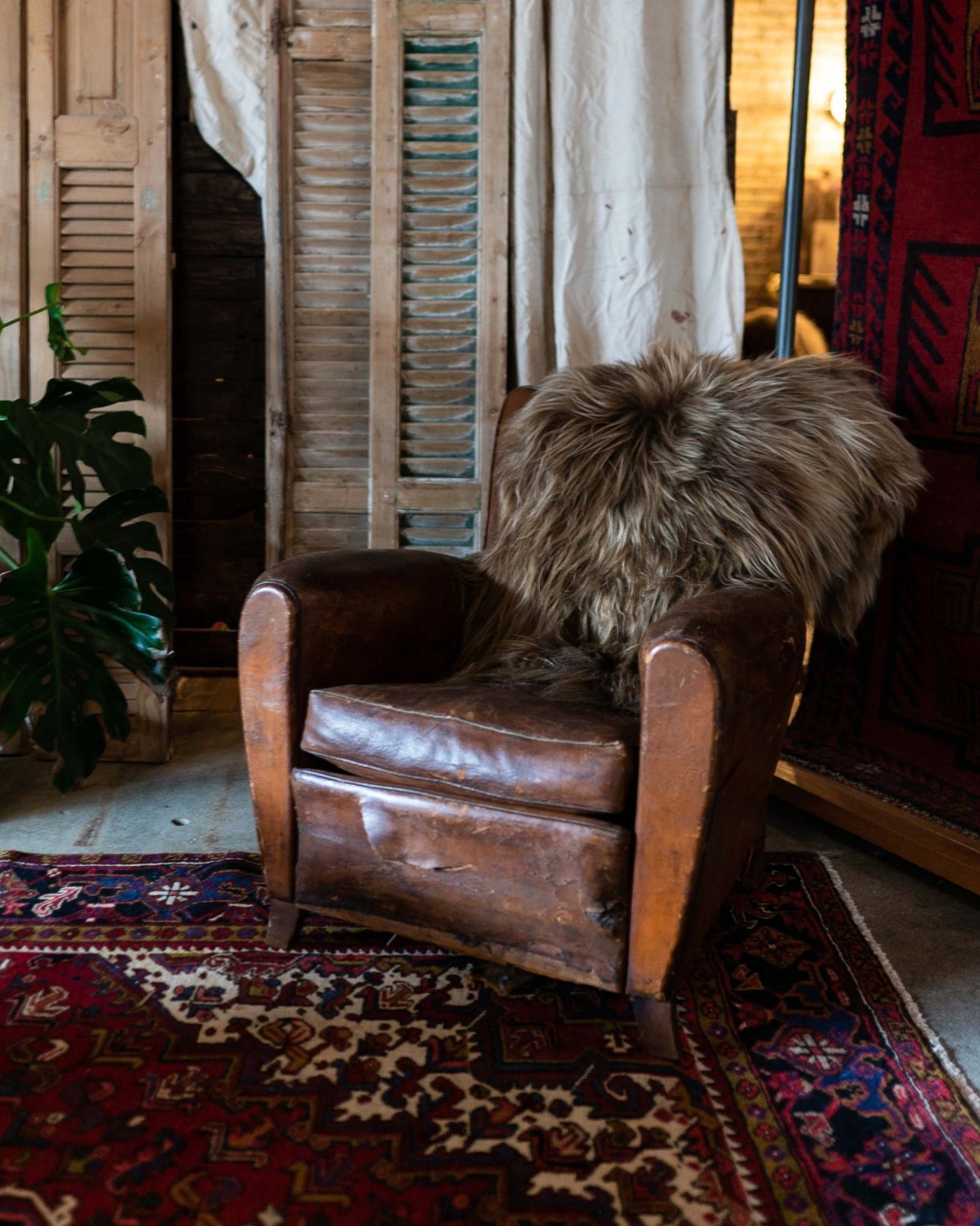 Icelandic Sheepskin Throw Rug - Dyed Brown - Rugs - Hello Norden