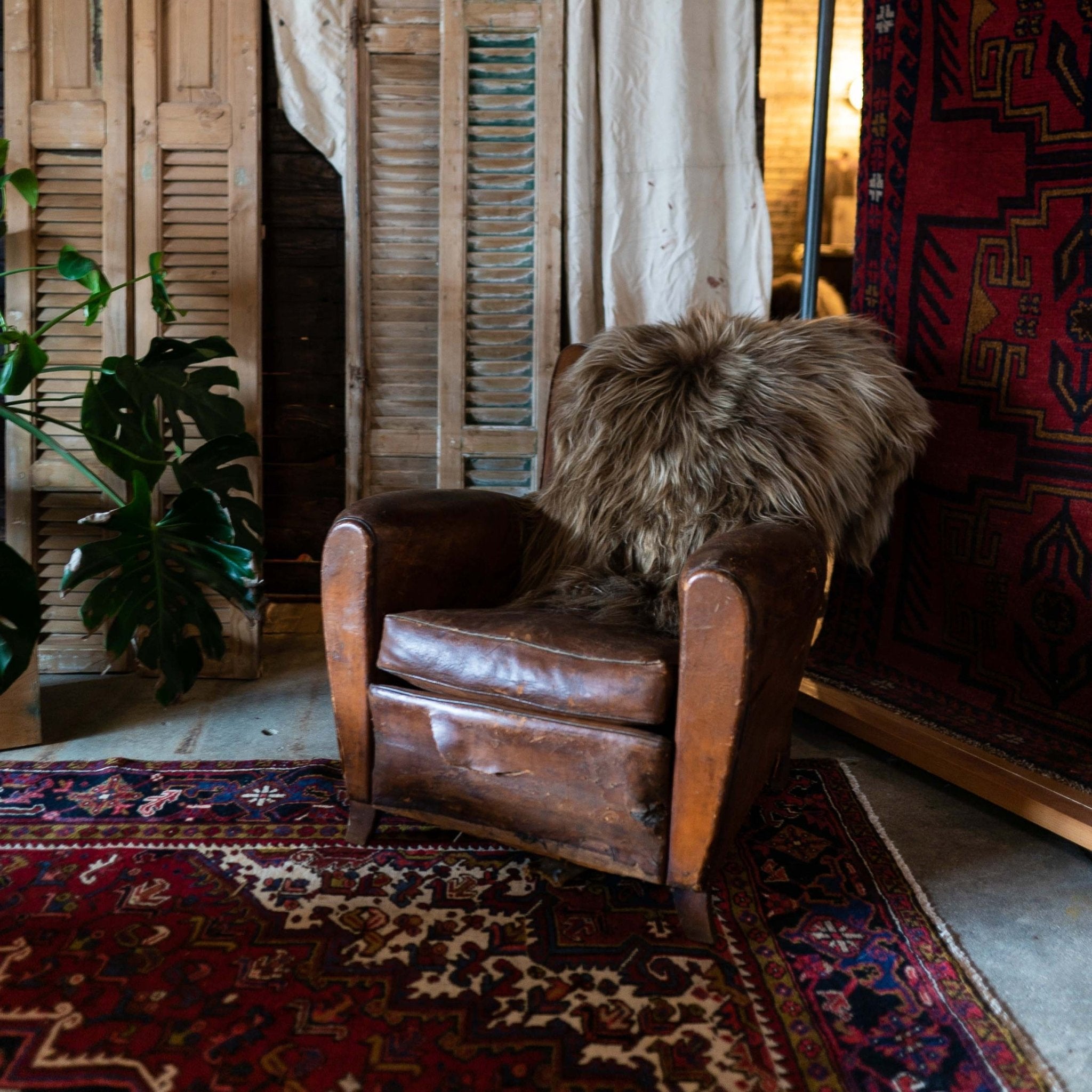 Icelandic Sheepskin Throw Rug - Dyed Brown - Rugs - Hello Norden