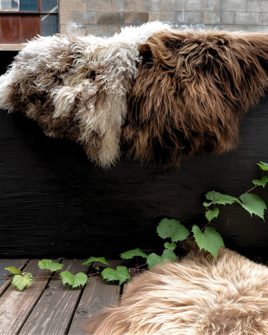 Icelandic Sheepskin Throw Rug - Dyed Brown - Rugs - Hello Norden