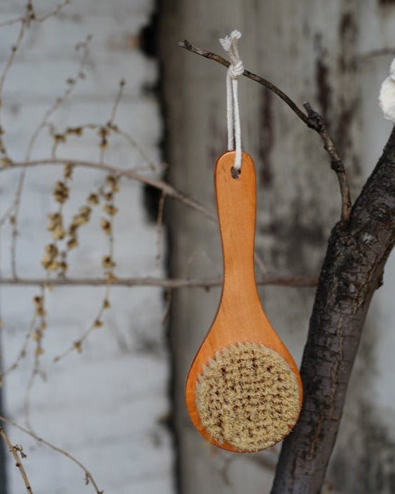 Longe Handle Body Brush - Brushes & Sponges - Hello Norden