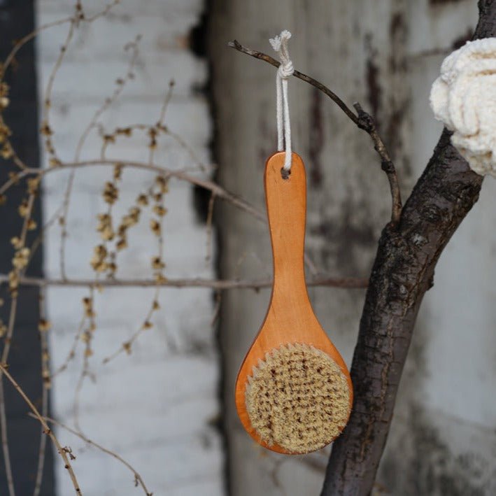 Longe Handle Body Brush - Brushes & Sponges - Hello Norden