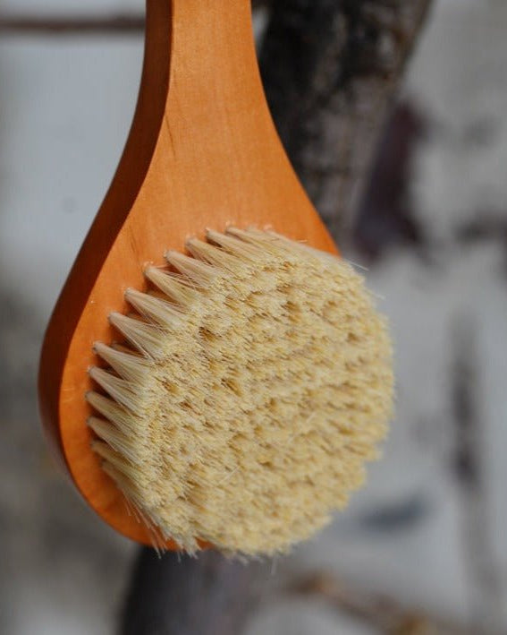 Longe Handle Body Brush - Brushes & Sponges - Hello Norden