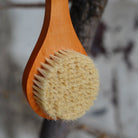 Longe Handle Body Brush - Brushes & Sponges - Hello Norden