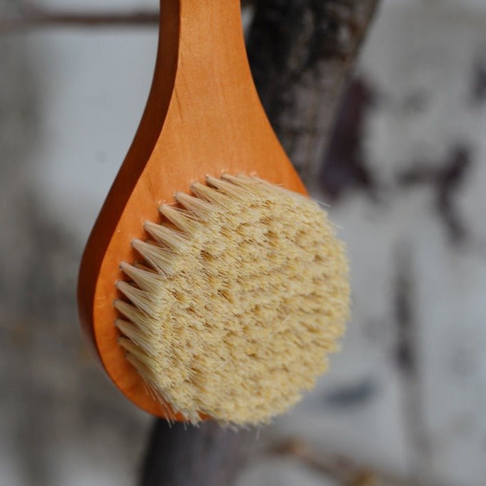 Longe Handle Body Brush - Brushes & Sponges - Hello Norden