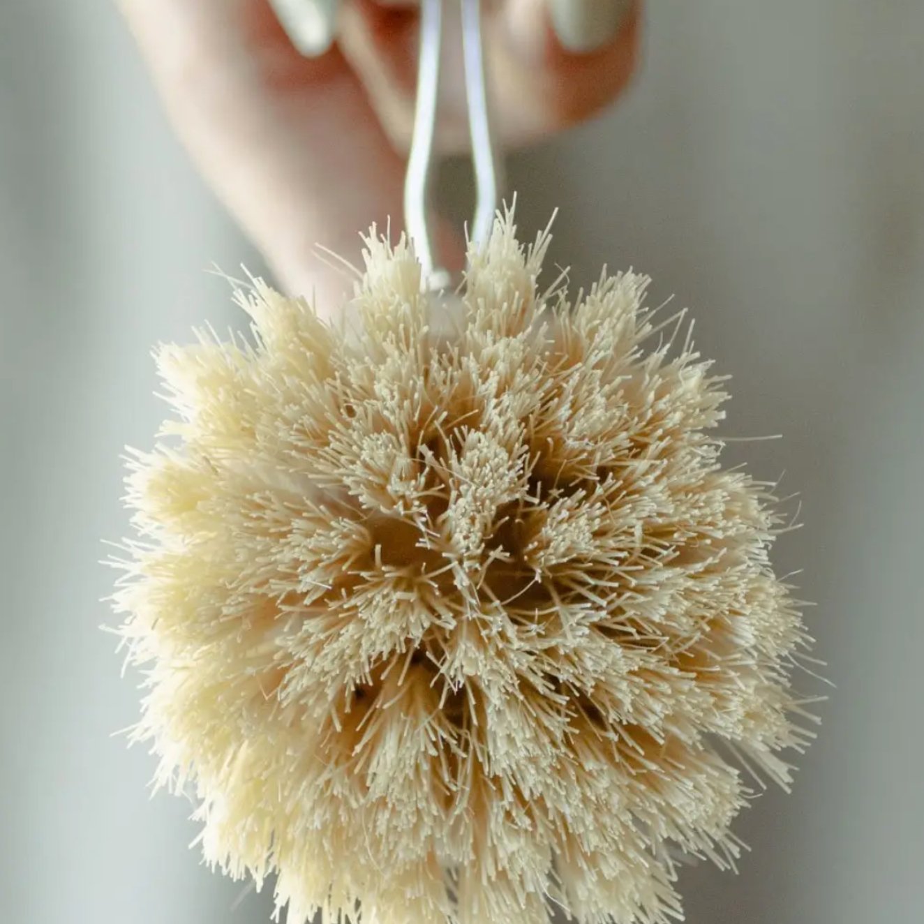 Replacement Head for Wooden Dish Brush - Cleaning Brushes - Hello Norden