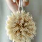Replacement Head for Wooden Dish Brush - Cleaning Brushes - Hello Norden
