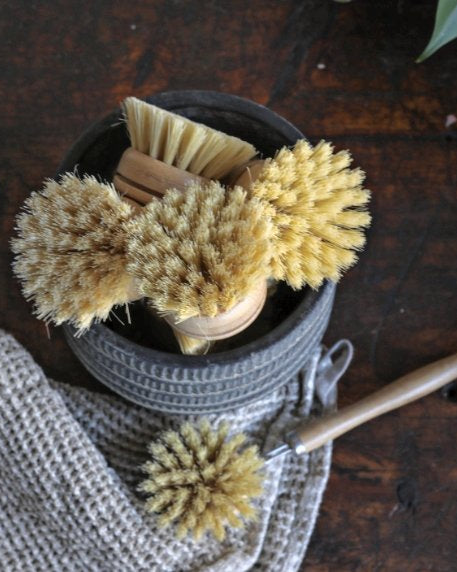 Replacement Head for Wooden Dish Brush - Cleaning Brushes - Hello Norden