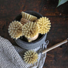 Replacement Head for Wooden Dish Brush - Cleaning Brushes - Hello Norden