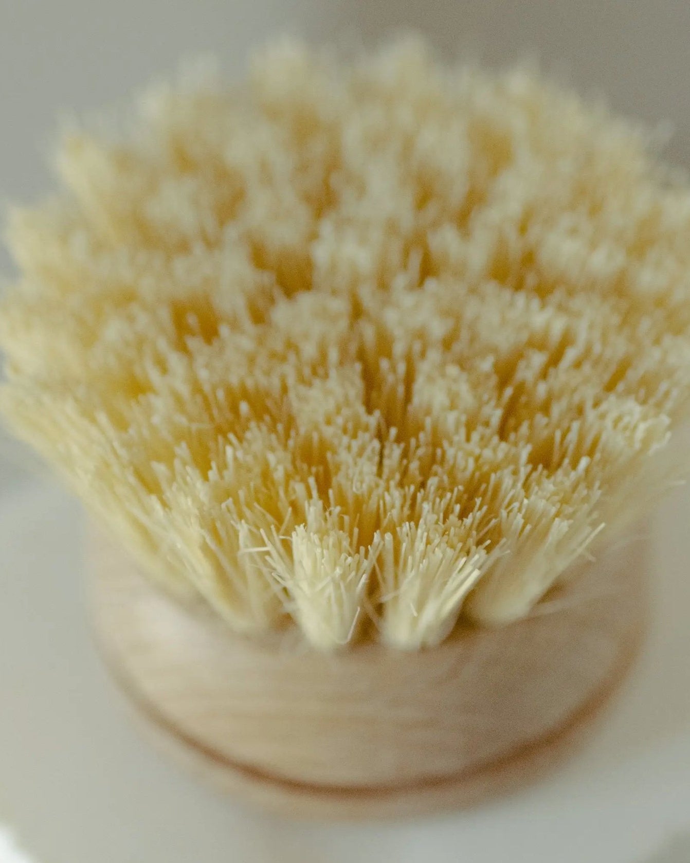 Replacement Head for Wooden Dish Brush - Cleaning Brushes - Hello Norden