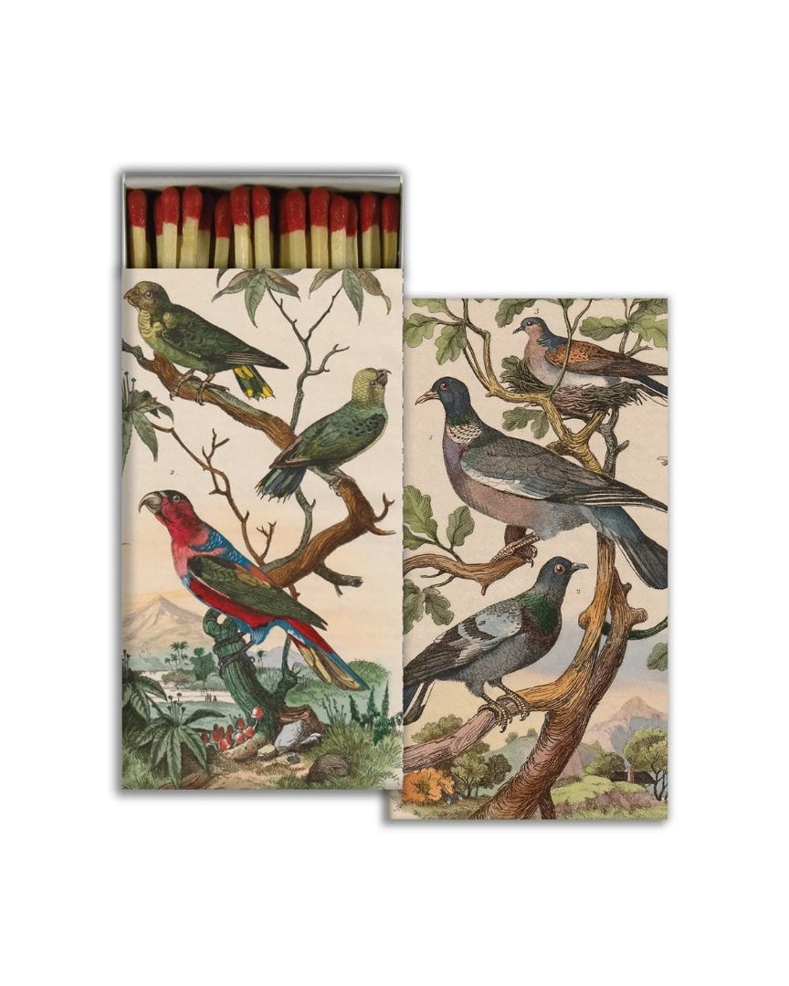 Striker Match Box - Apothecary - Hello Norden