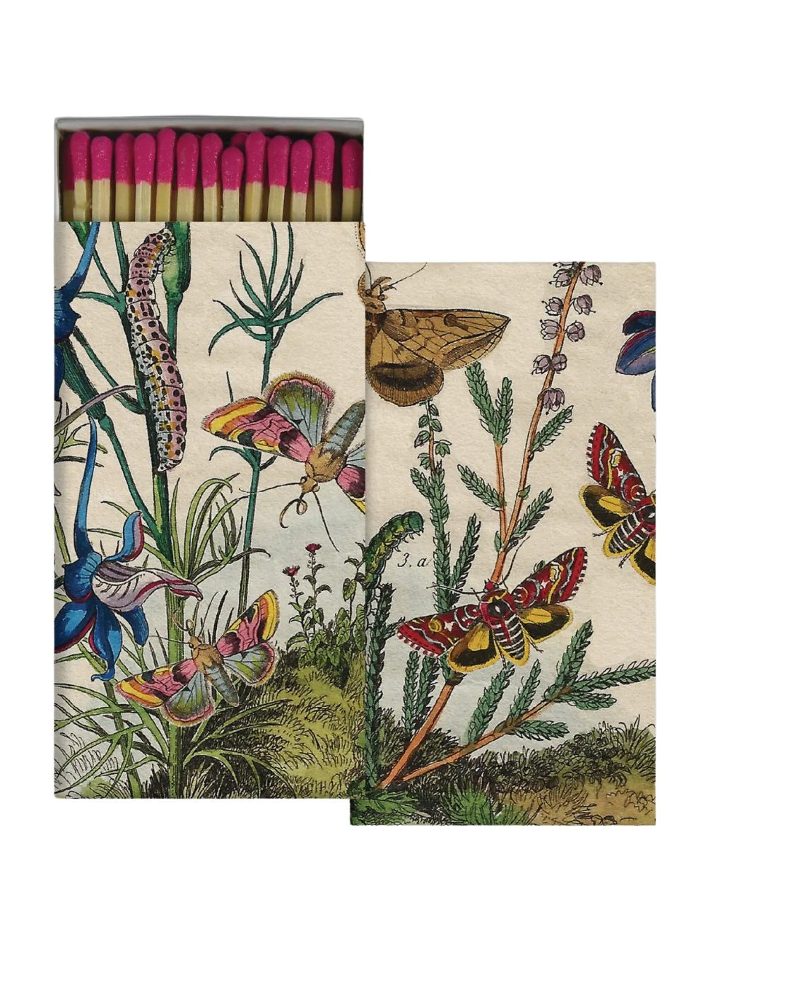 Striker Match Box - Apothecary - Hello Norden