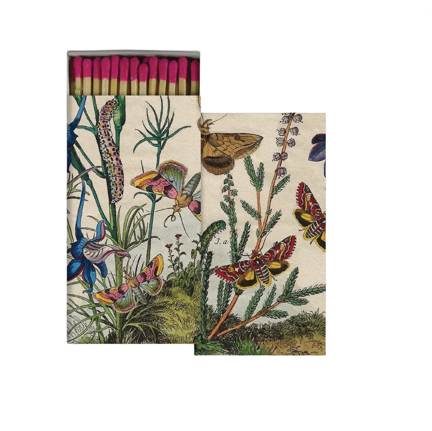 Striker Match Box - Apothecary - Hello Norden