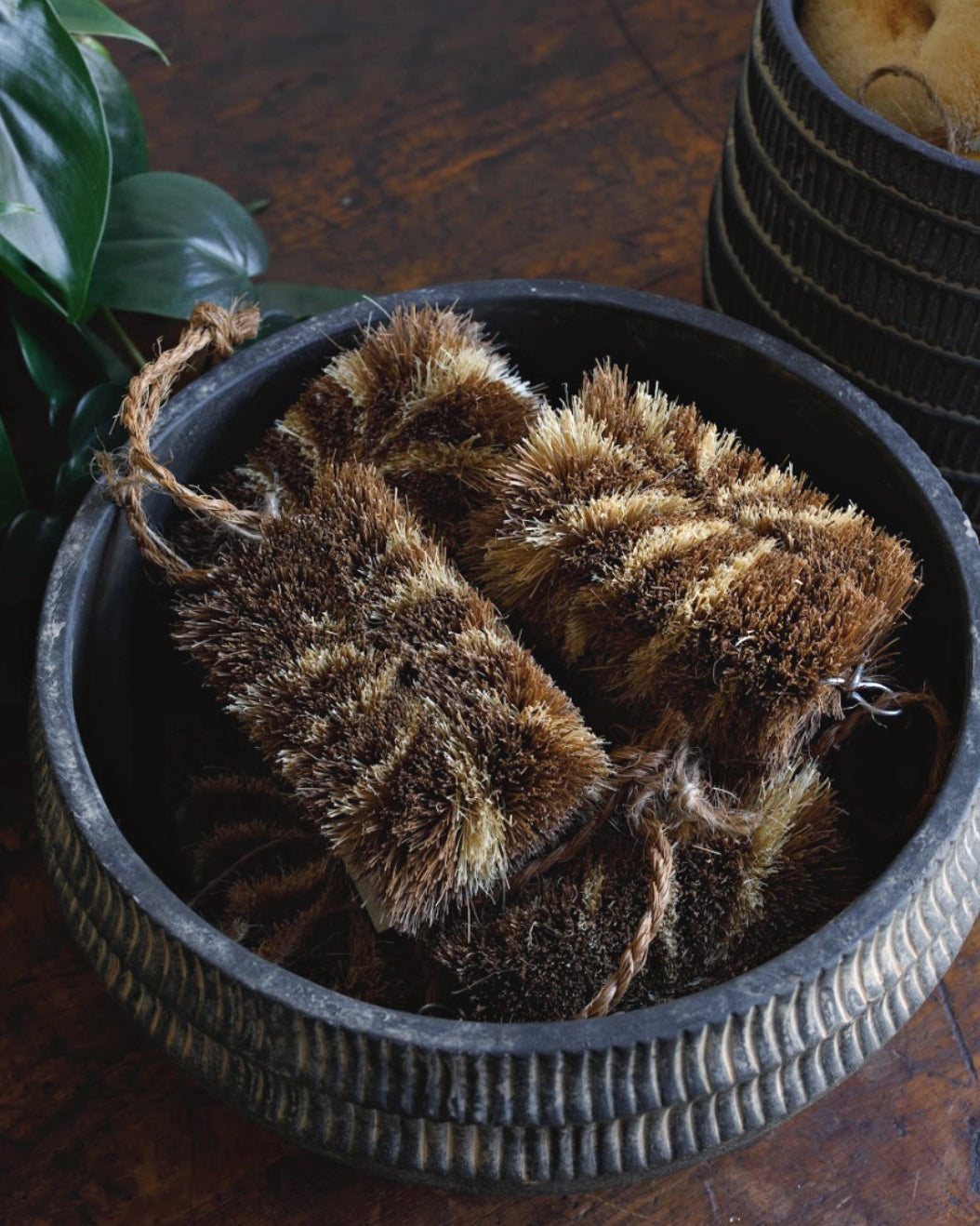 Tiger Veggie Brush - Cleaning Brushes - Hello Norden