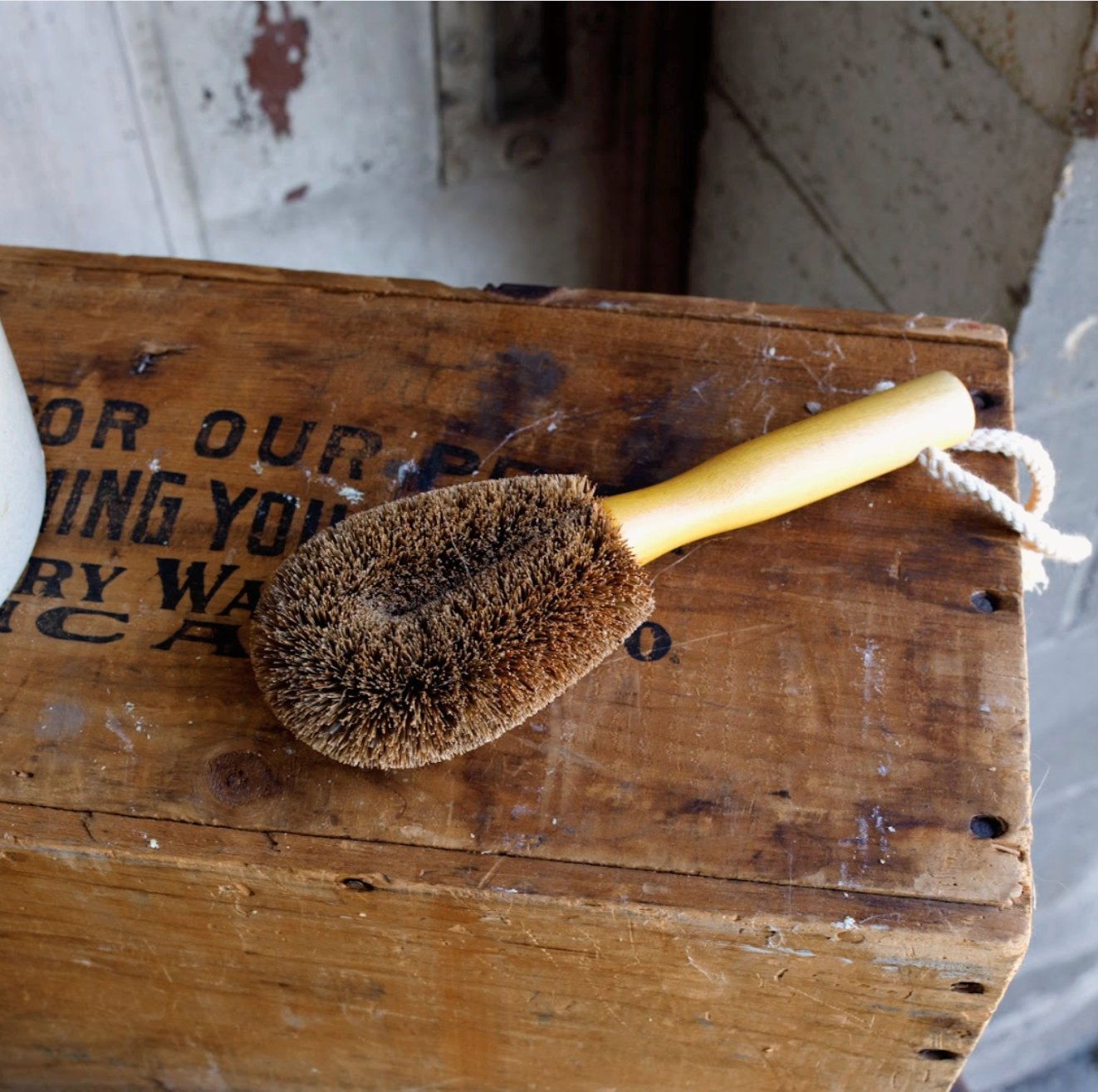 Veggie Brush - Cleaning Brushes - Hello Norden