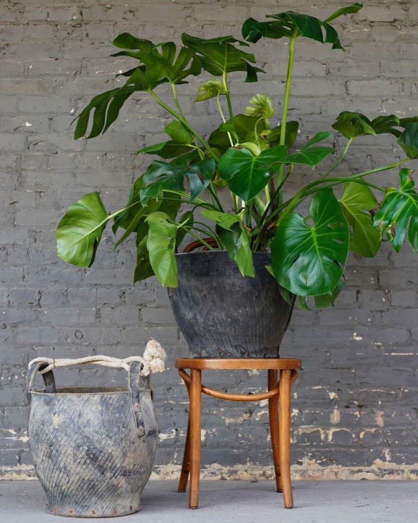 Vintage Tire Coal Bucket - Planters & Pots - Hello Norden