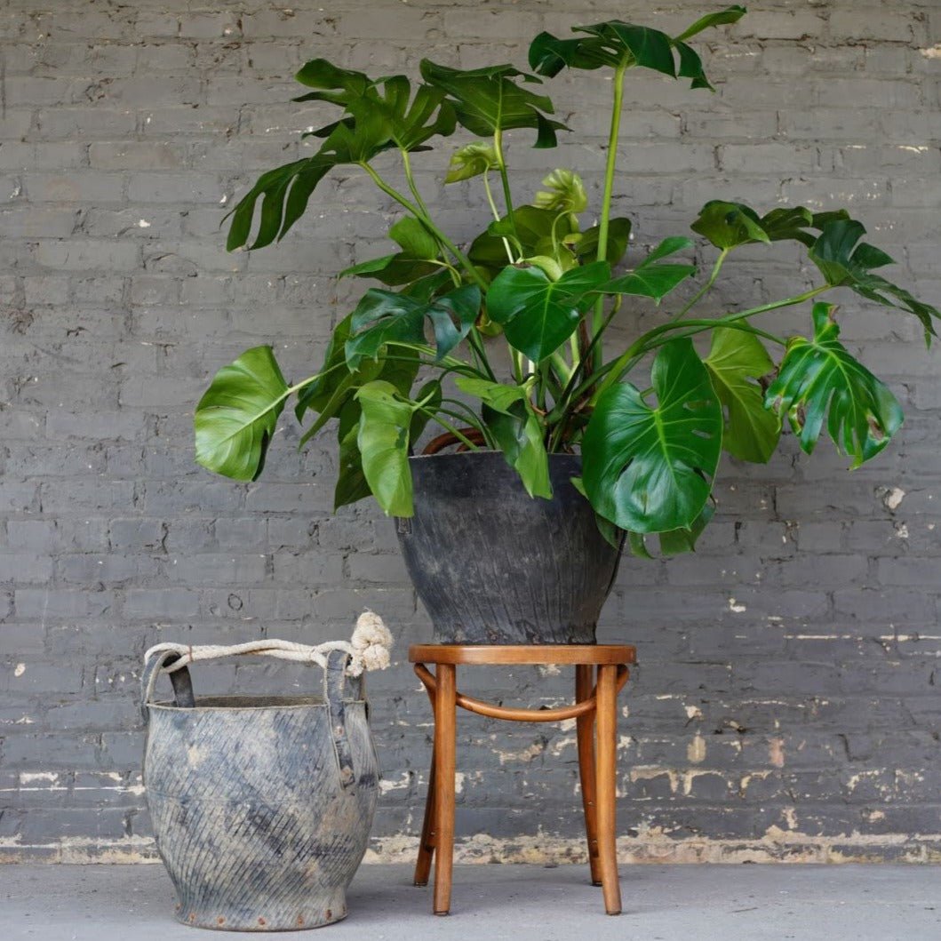 Vintage Tire Coal Bucket - Planters & Pots - Hello Norden